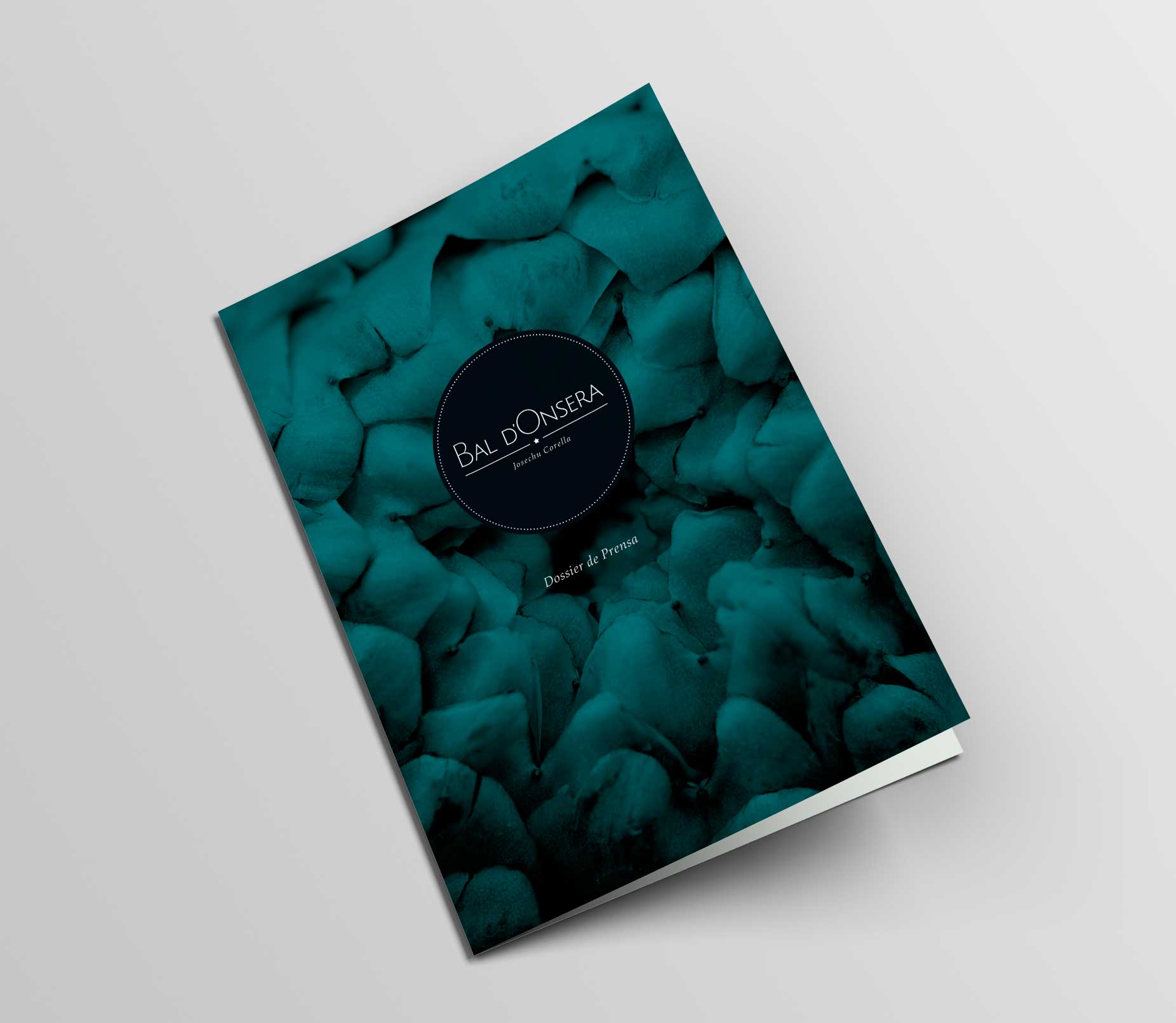 Diseño de imagen y web para Bal D’Onsera - Branding, Gráfico, Web