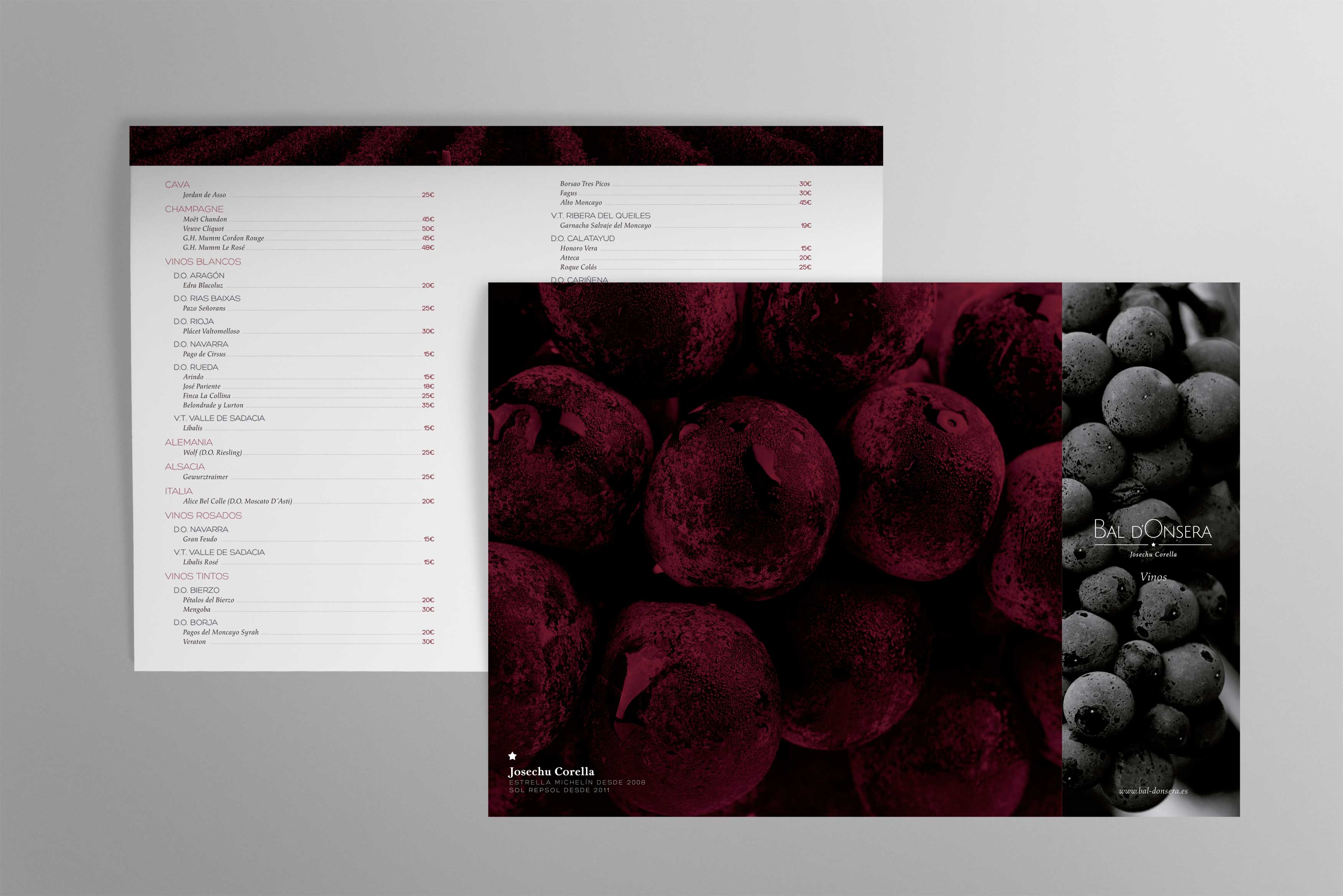 Diseño de imagen y web para Bal D’Onsera - Branding, Gráfico, Web